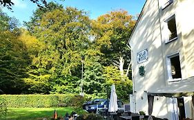 Wald-Hotel